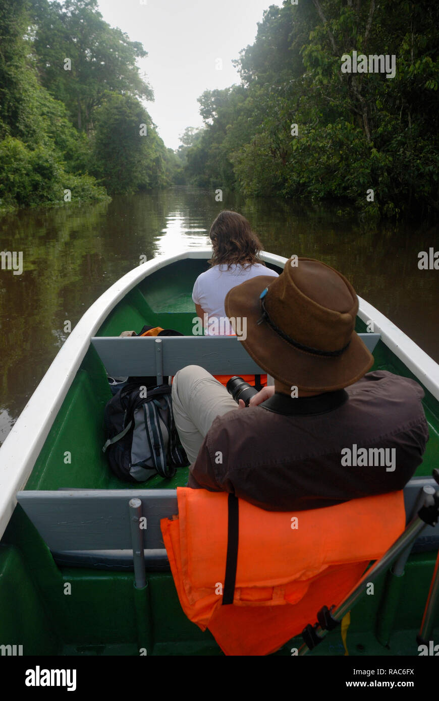 River cruising along the Kinabatangan river Sandakan in search of wildlife such as Orang utan and proboscis monkey. Stock Photo
