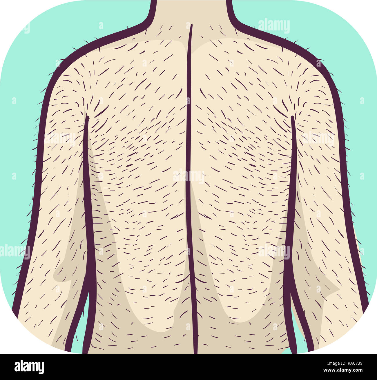 Hairy back hires stock photography and images Alamy