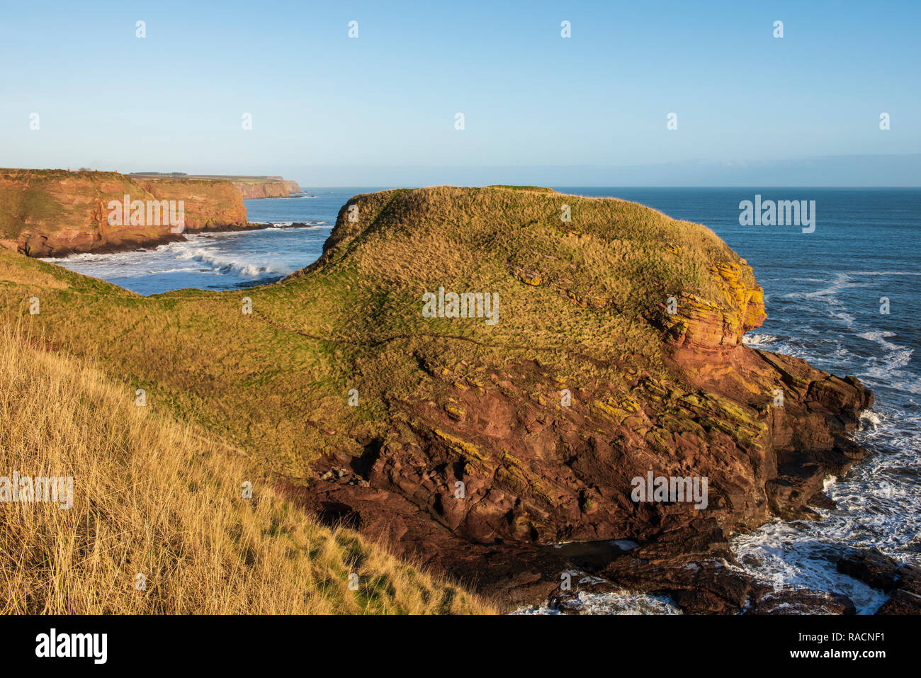 Red sandstone cliffs between Auchmithie and Arbroath. Stock Photo