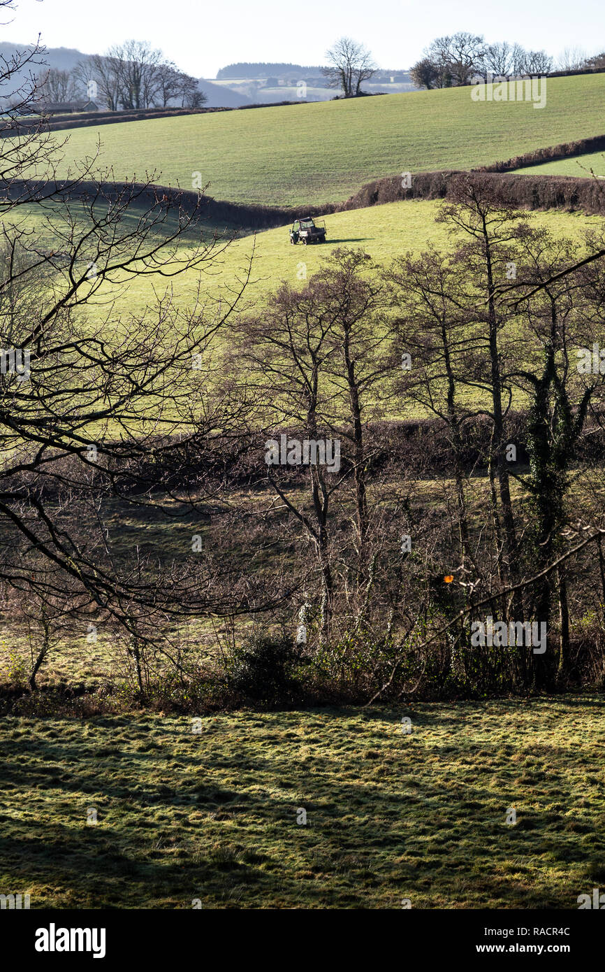 Devon, Field, Farm, Dartmoor National Park, Agriculture, England