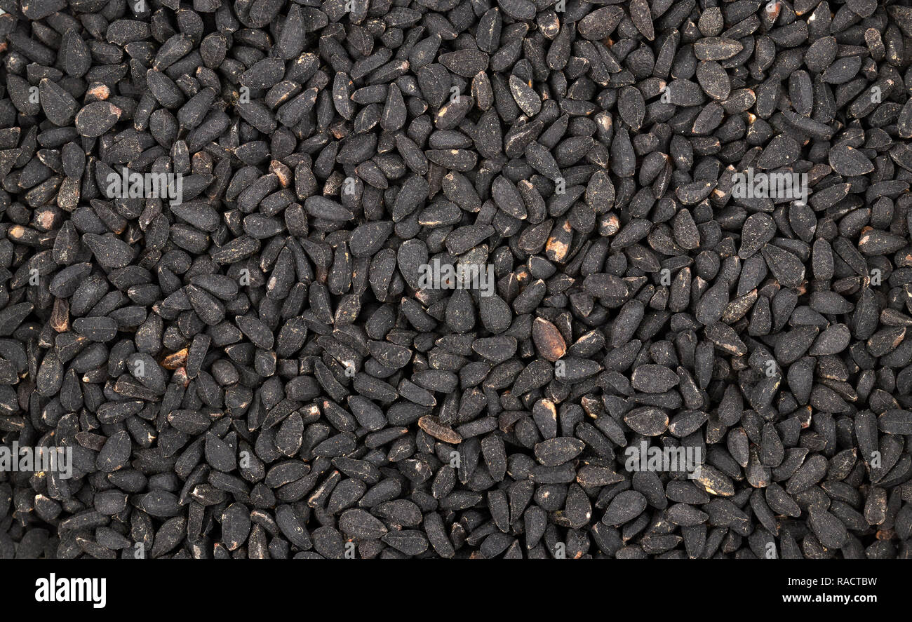 Close up picture of black cumin (nigella sativa) seeds. Stock Photo