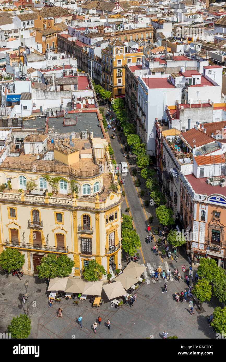 View from the Giralda Bell Tower down to the Virgen de los Reyes square, Seville, Andalusia, Spain, Europe Stock Photo