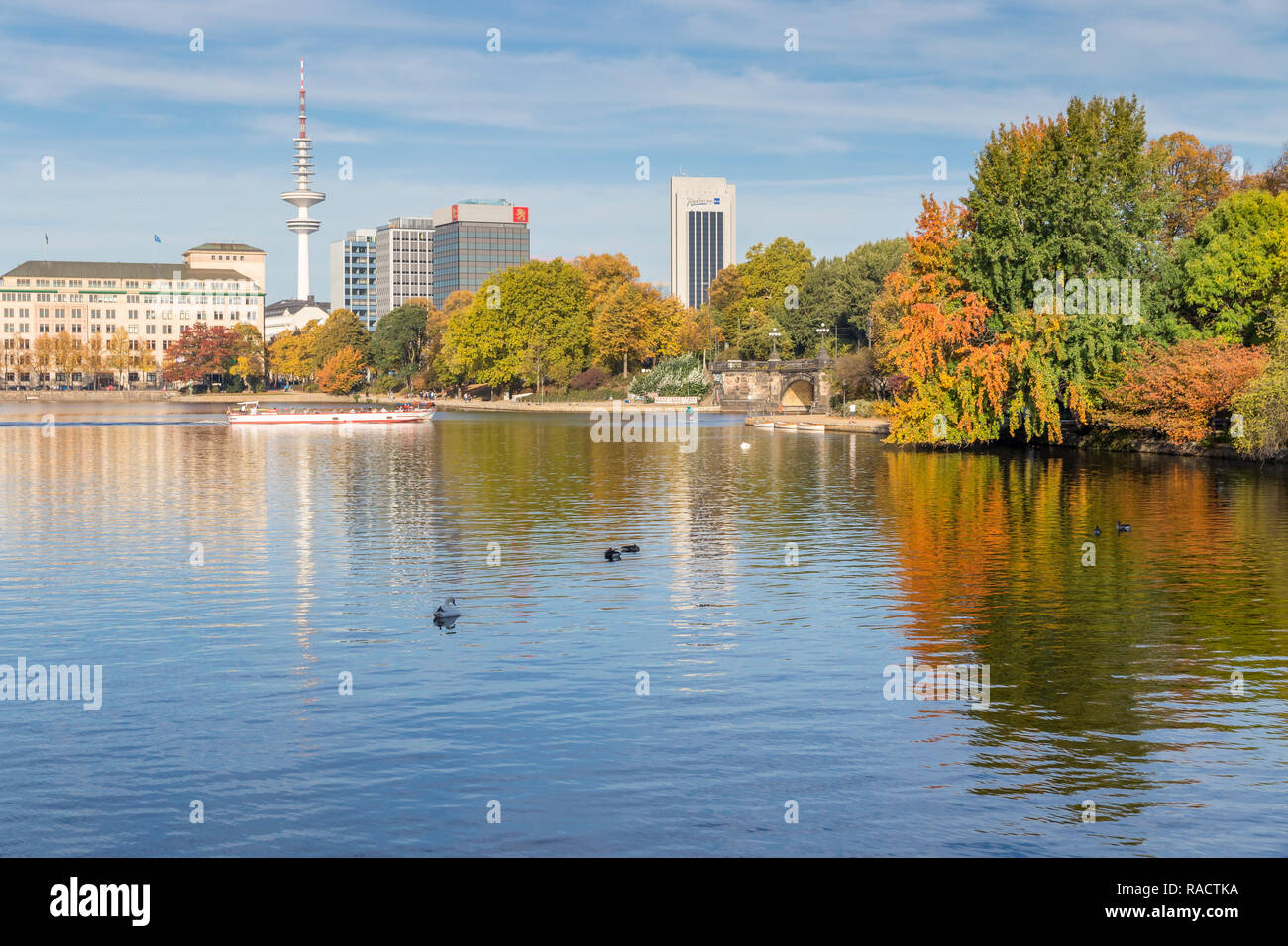 The Inner Alster (Binnenalster) with view to the Fernsehturm (Television tower) during autumn, Hamburg, Germany, Europe Stock Photo