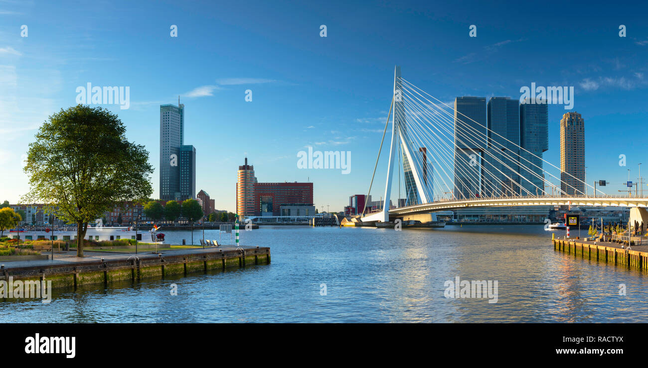 Erasmus Bridge (Erasmusbrug) and skyline, Rotterdam, Zuid Holland, Netherlands, Europe Stock Photo