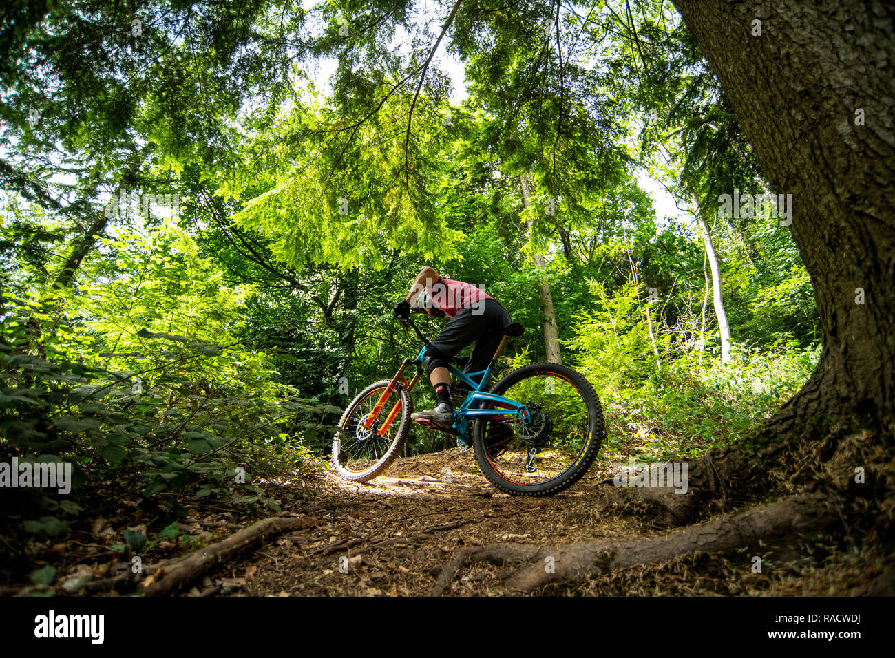 belmont mountain bike trails