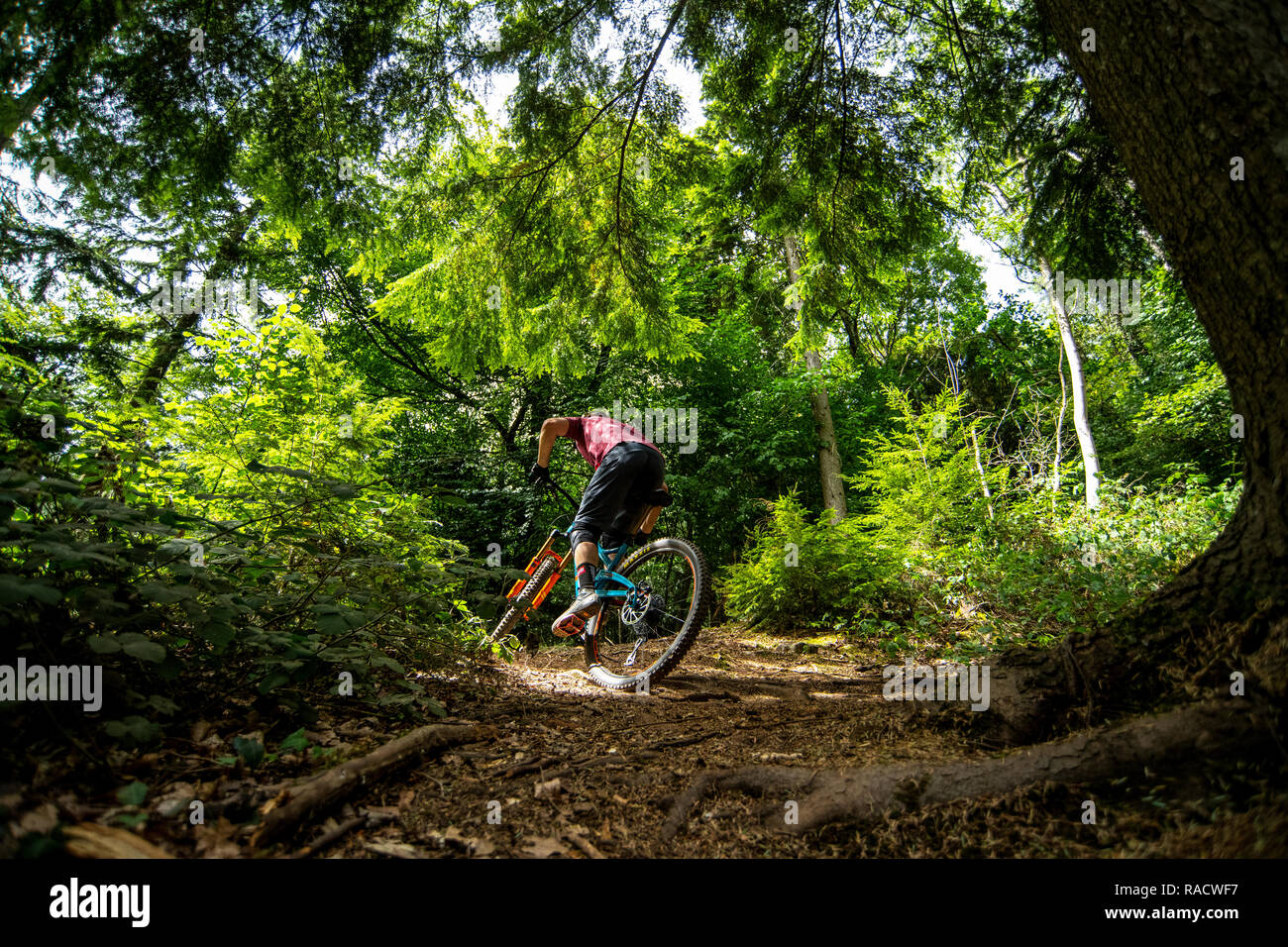 belmont mountain bike trails