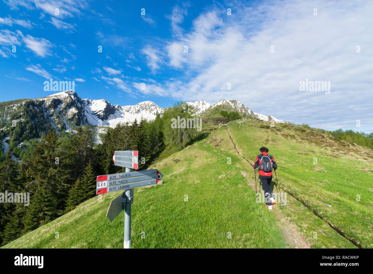 Person hiking italy travel hi-res stock photography and images - Page 6 -  Alamy, image size:1300x957