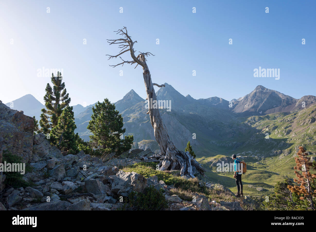 A walker takes in a view of the Pyrenees from near Refugio Respomuso along the GR11 long distance trekking path, Huesca, Spain, Europe Stock Photo