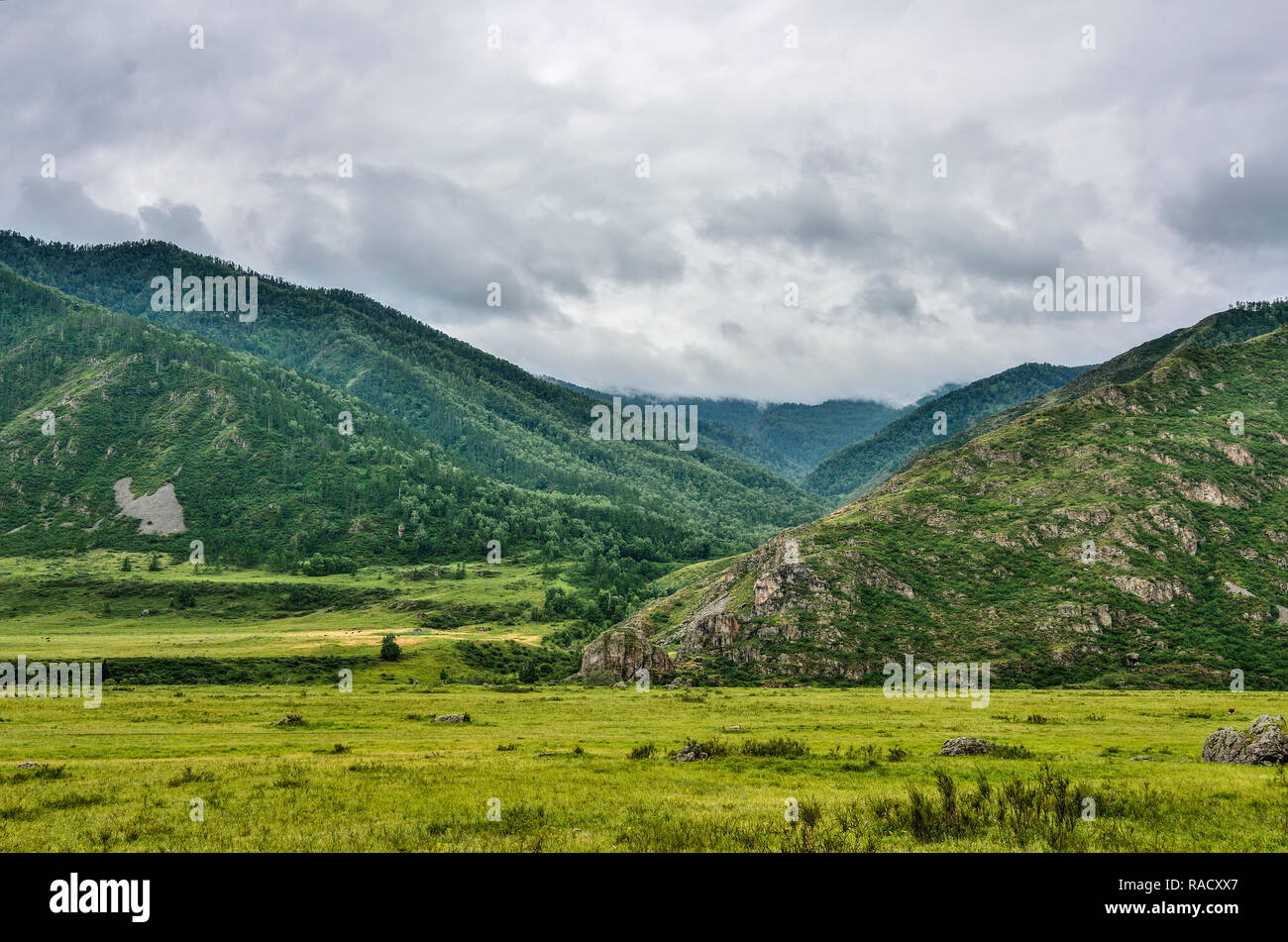 Picturesque gloomy cloudy summer landscape of mountain valley with green grass and bushes covered and with scattered boulders in the Altai Mountains,  Stock Photo