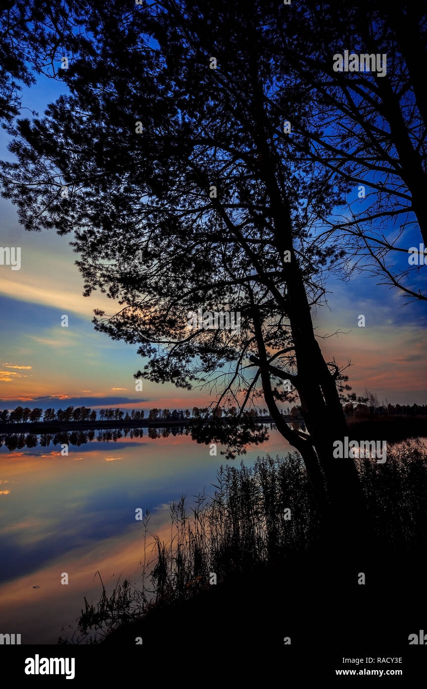 Beautiful sunset seen through tree silhouette on the lake Stock Photo ...
