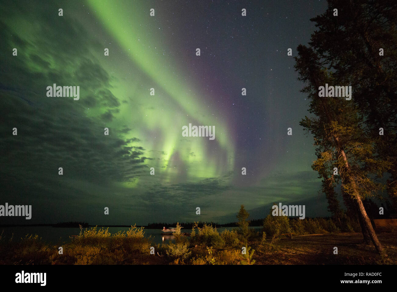 The Northern Lights (aurora borealis) in the night sky above Lake Egenolf in northern Manitoba, Canada, North America Stock Photo