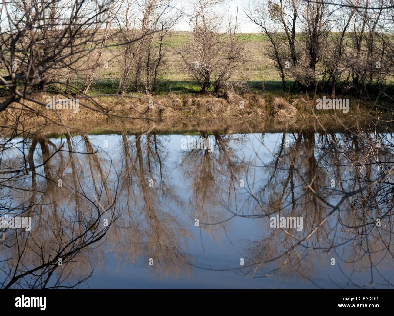 Recent rains have filled vernal and permanent ponds located on Travis Air Force Base, Calif., Jan. 13, 2017. There are more than 800 areas with vernal pool and wetland features covering approximately 81 acres of Travis supporting a multitude of life forms. These areas are protected under the Clean Water Act and the Endangered Species Act. The acts also protect the federally listed species that live and breed in these habitats, like the California tiger salamander and vernal pool fairy shrimp. Stock Photo