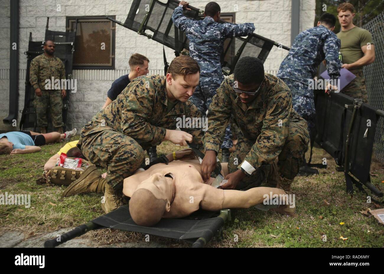 Navy corpsmen secure a notional patient as part of Naval Medical Augmentation Program training at Camp Lejeune, N.C., Jan. 26, 2017. The NMAP training is used to strengthen communication skills in an austere environment and increase combat readiness. The Sailors are with 2nd Medical Battalion. Stock Photo