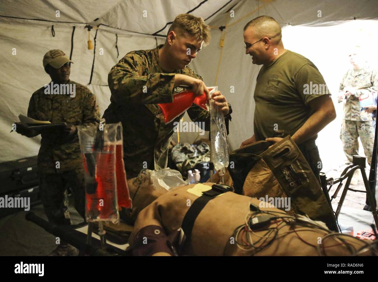 A Navy corpsman performs a blood transfusion to a notional patient as part of Naval Medical Augmentation Program training at Camp Lejeune, N.C., Jan. 26, 2017. The training is used to strengthen communication skills in an austere environment and increase combat readiness. The Sailors are with 2nd Medical Battalion. Stock Photo