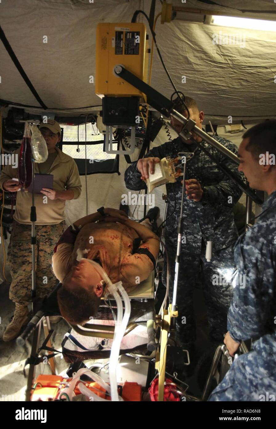 Navy corpsmen X-ray a notional casualty wearing a Cut Suit as part of Naval Medical Augmentation Program training at Camp Lejeune, N.C., Jan. 26, 2017. The purpose of NMAP training is for corpsmen from different units to learn to work cohesively and be able to perform in an austere environment. The Sailors are with 2nd Medical Battalion. Stock Photo
