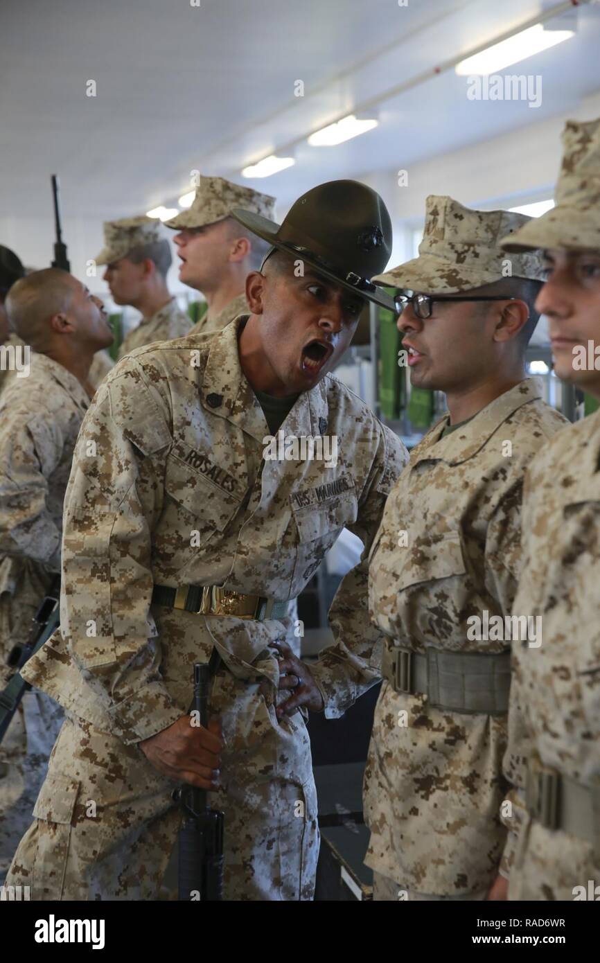 A drill instructor from Mike Company, 3rd Recruit Training Battalion