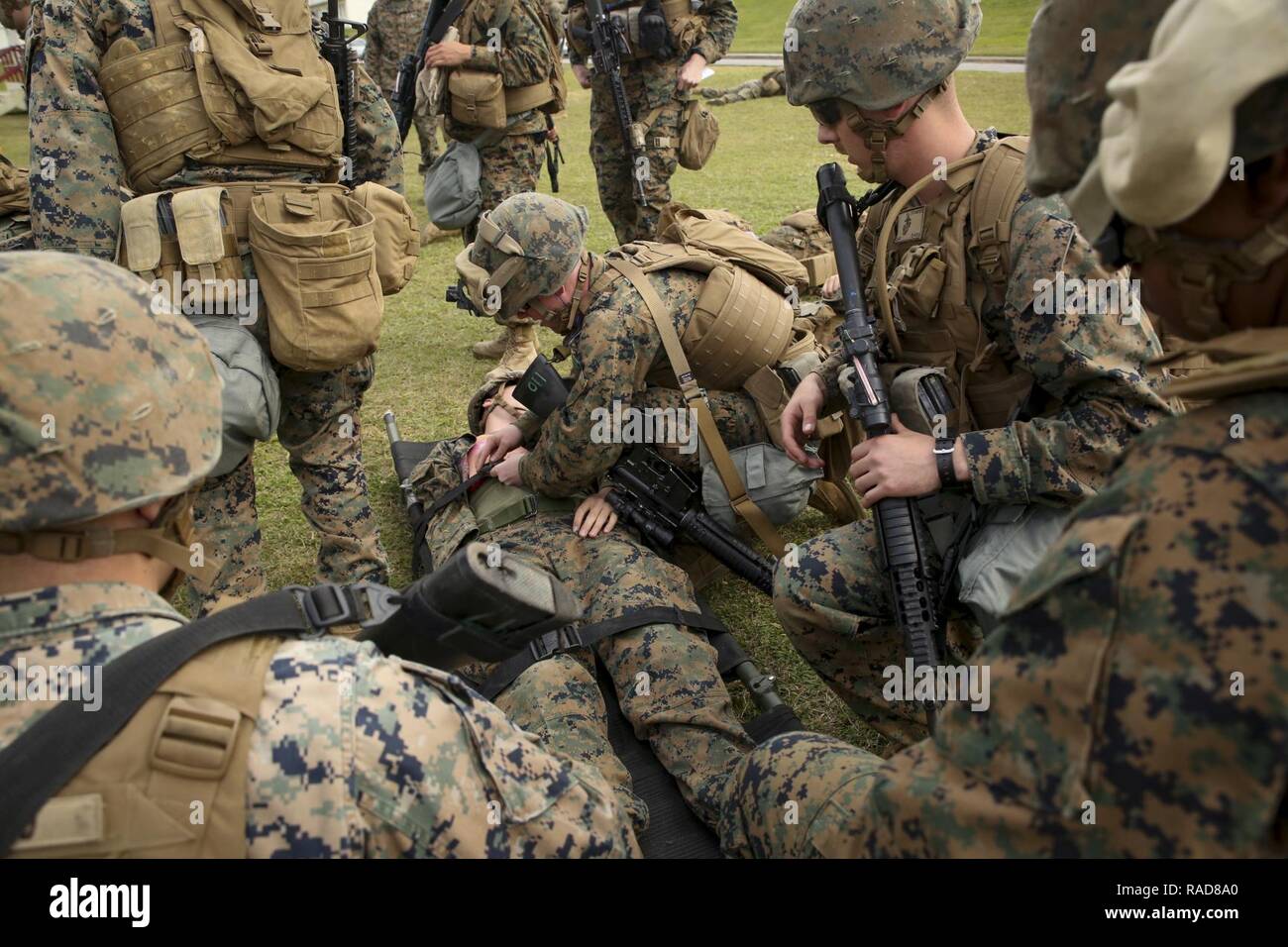 Marines and Navy corpsmen with Combat Logistics Battalion 31, 31st