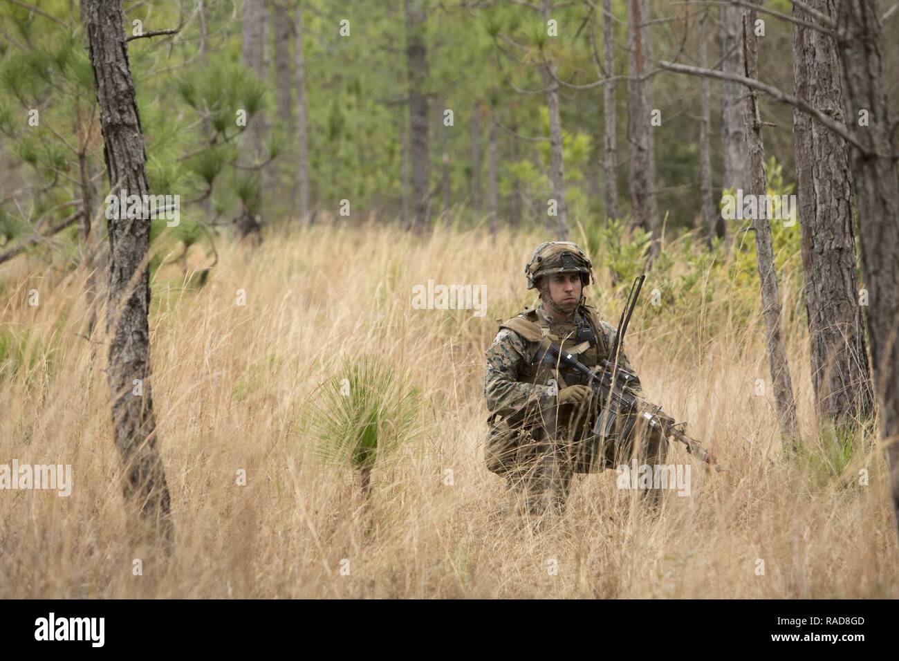 A U.S. Marine with Fox Company, 2nd Battalion, 6th Marine Regiment (2/6), 2nd Marine Division (2d MARDIV), posts security during a 2/6 field training exercise on Camp Lejeune, N.C., Jan. 26, 2017. The purpose of the exercise was to develop skills learned from previous field training while integrating mechanized vehicle assets in order to maintain combat proficiency. Stock Photo