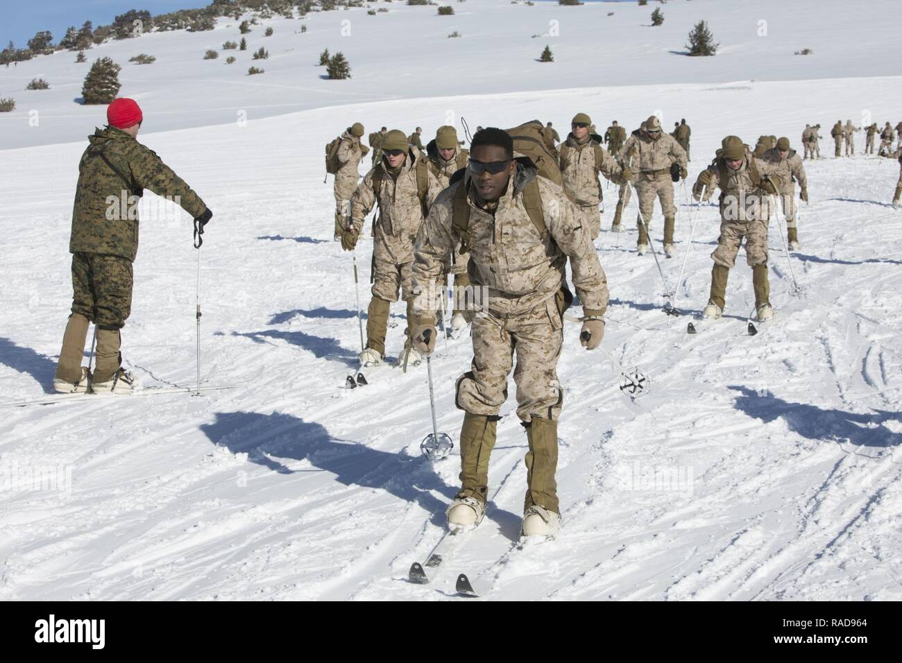 U.S. Marines with 2nd Battalion, 2nd Marine Regiment (2/2), conduct a ski exercise during a month-long Deployment for Training (DFT), at the Marine Corps Mountain Warfare Training Center (MCMWTC), Bridgeport, CA., Jan. 15, 2017. The Marines of 2/2 participated in month-long DFT at MCMWTC to prepare them for the challenges of operating in cold and mountainous environments. Stock Photo