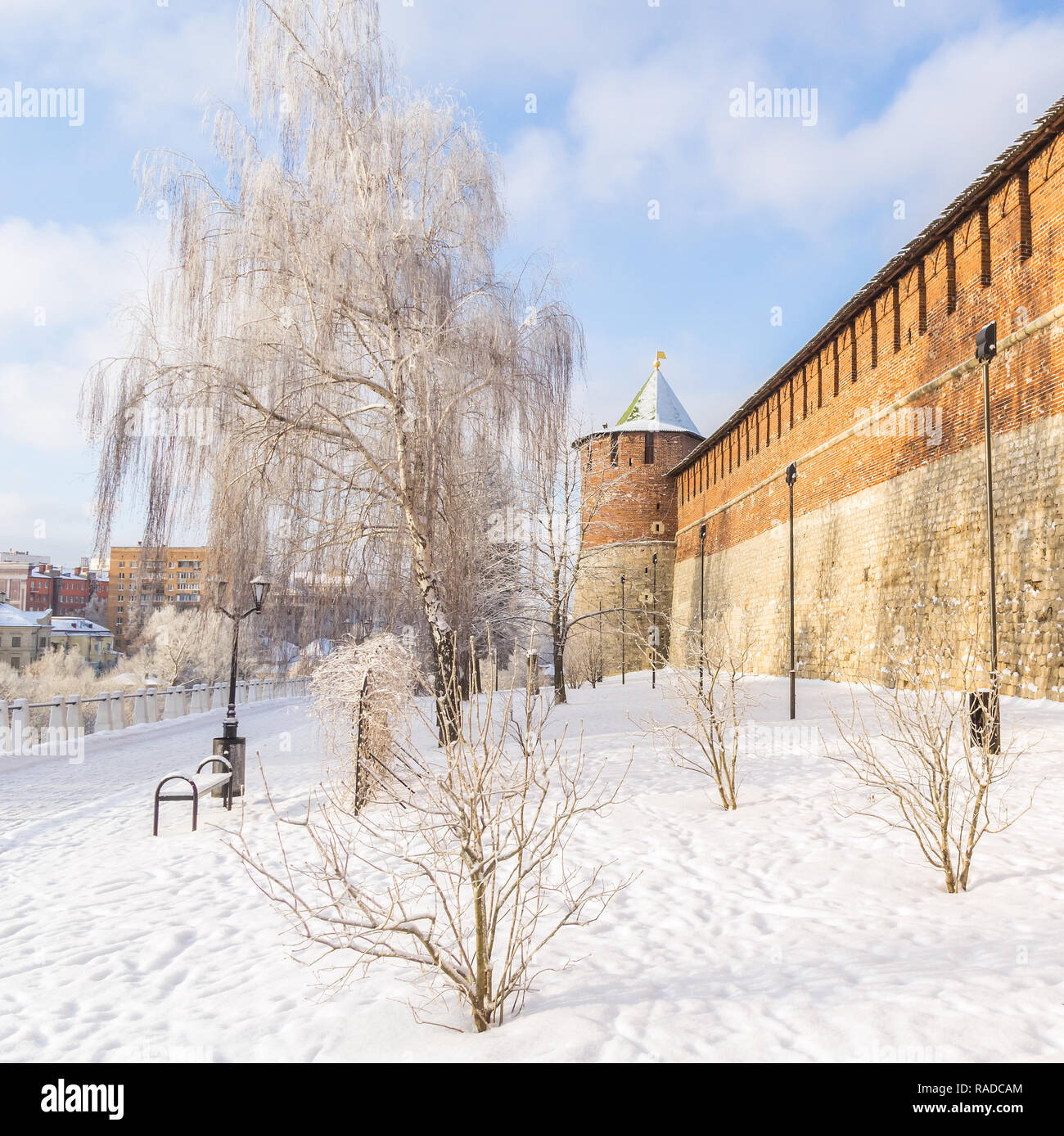 White Birch and the Tower of the Nizhny Novgorod Kremlin in winter, Russia Stock Photo