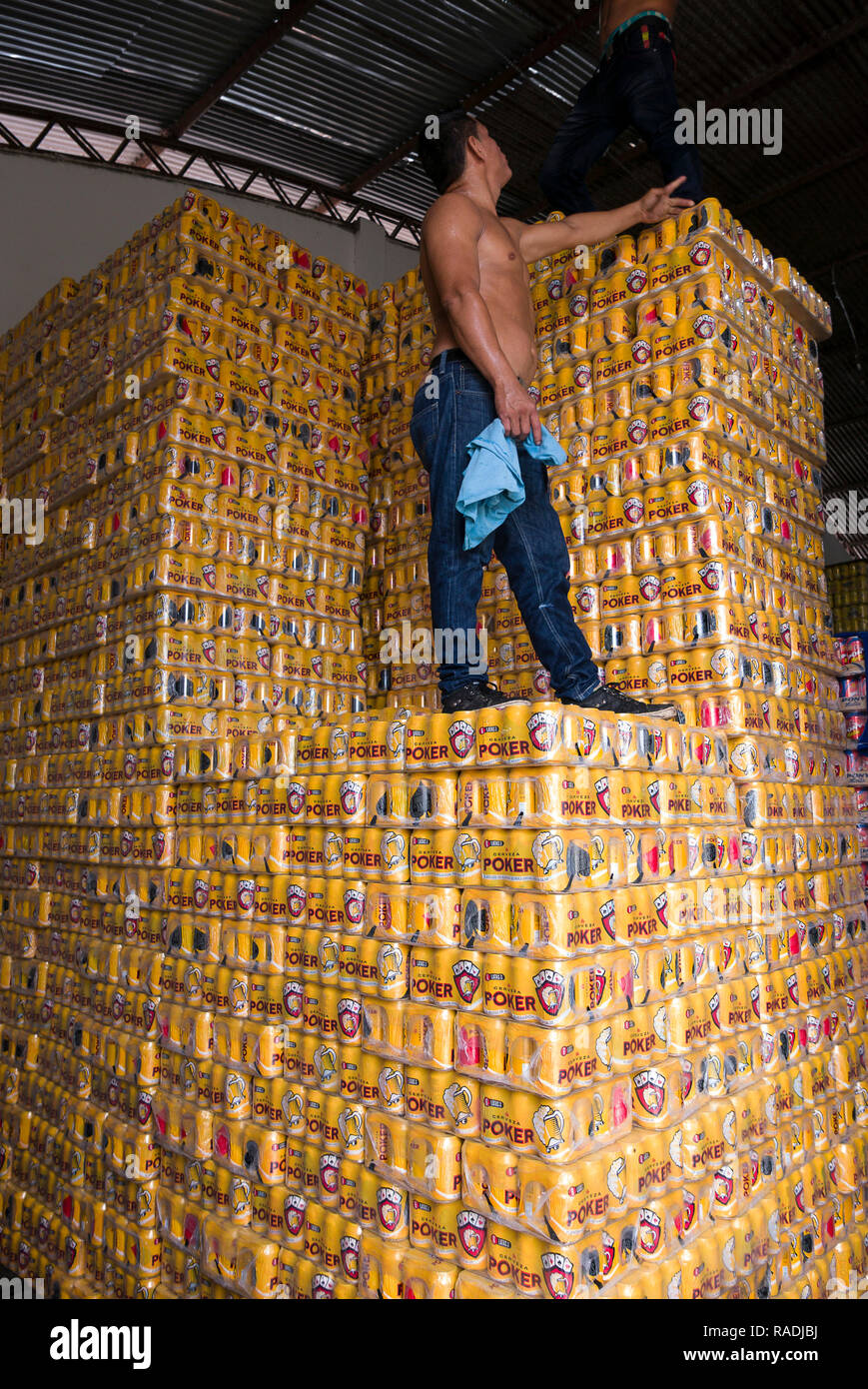 Colombia: Leticia. 2015/08/12. Man working in the beer can stockroom of the Poker Brewery in the capital of the department of Amazonas. Founded in 186 Stock Photo