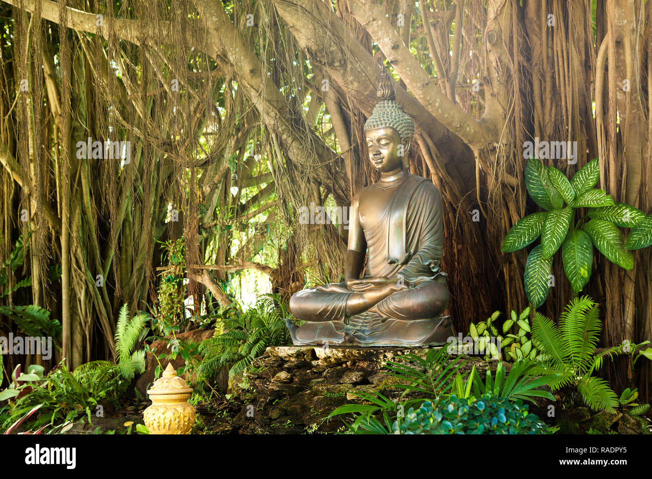 Buddha in Peace mind background concept Stock Photo -