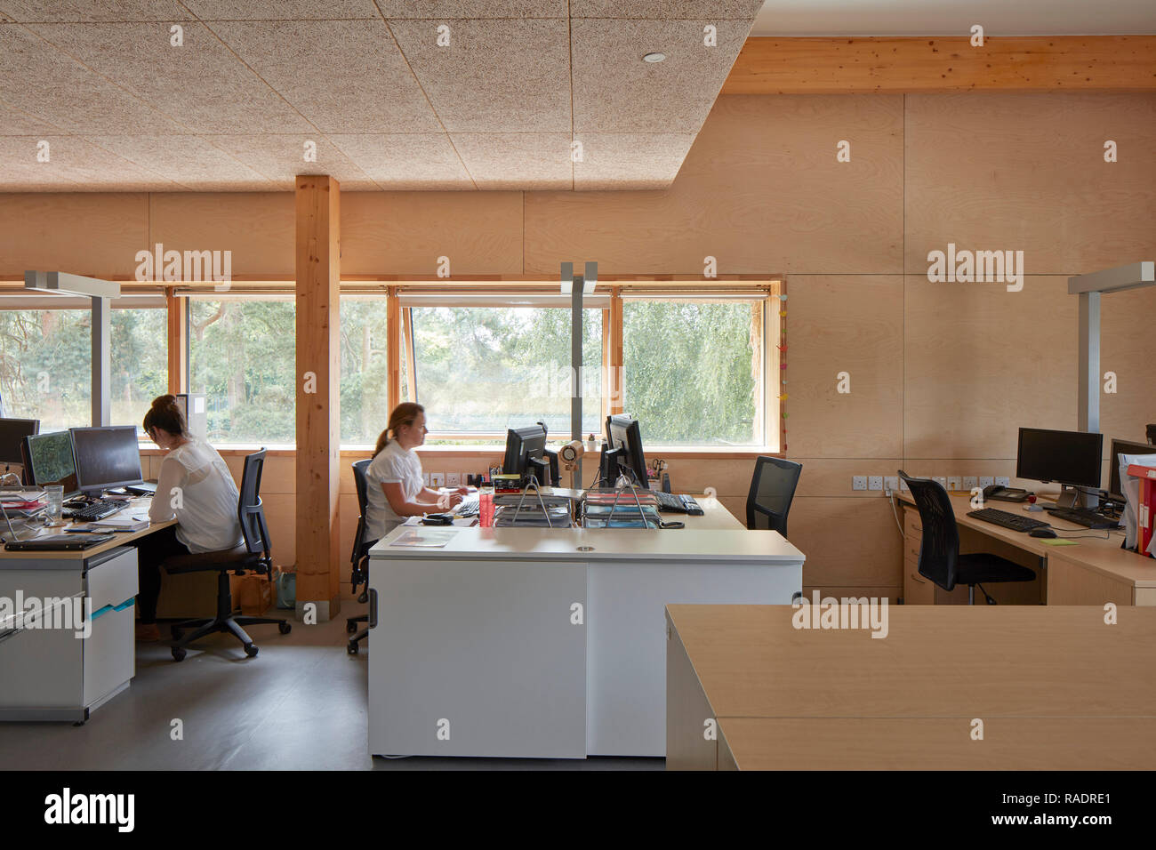 Upper floor office space in use. The Enterprise Centre UEA, Norwich, United Kingdom. Architect: Architype Limited, 2015. Stock Photo