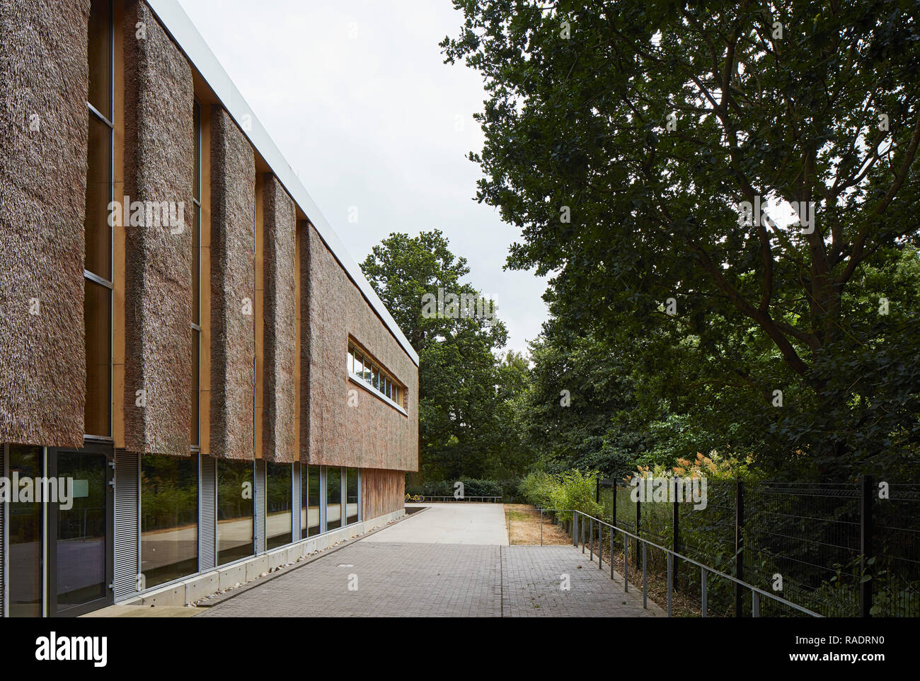 Perspective along thatch facade with trees. The Enterprise Centre UEA, Norwich, United Kingdom. Architect: Architype Limited, 2015. Stock Photo