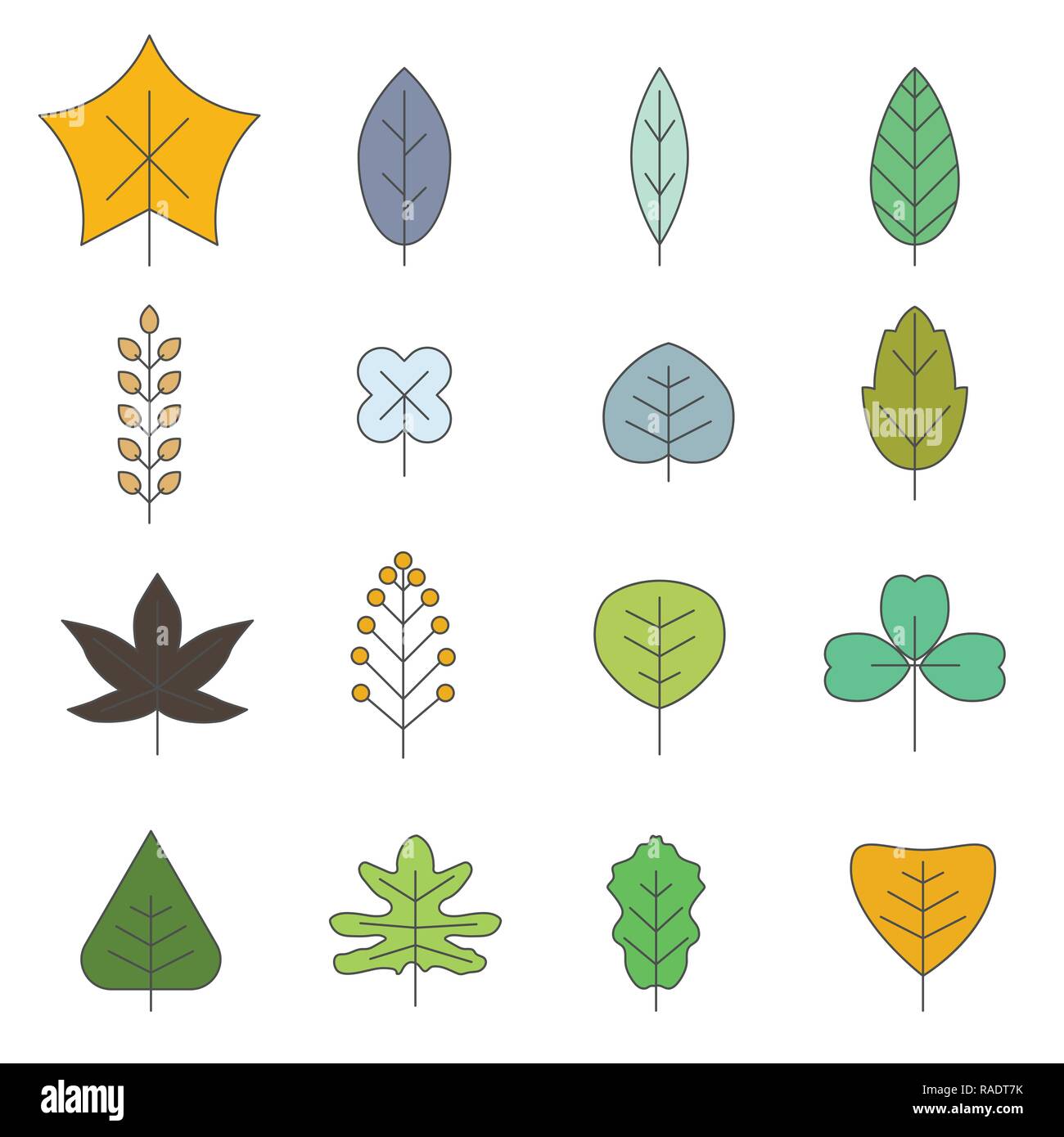 Various leaf shape,  diferent leave Flat stlye, Vector Illustration. Stock Vector