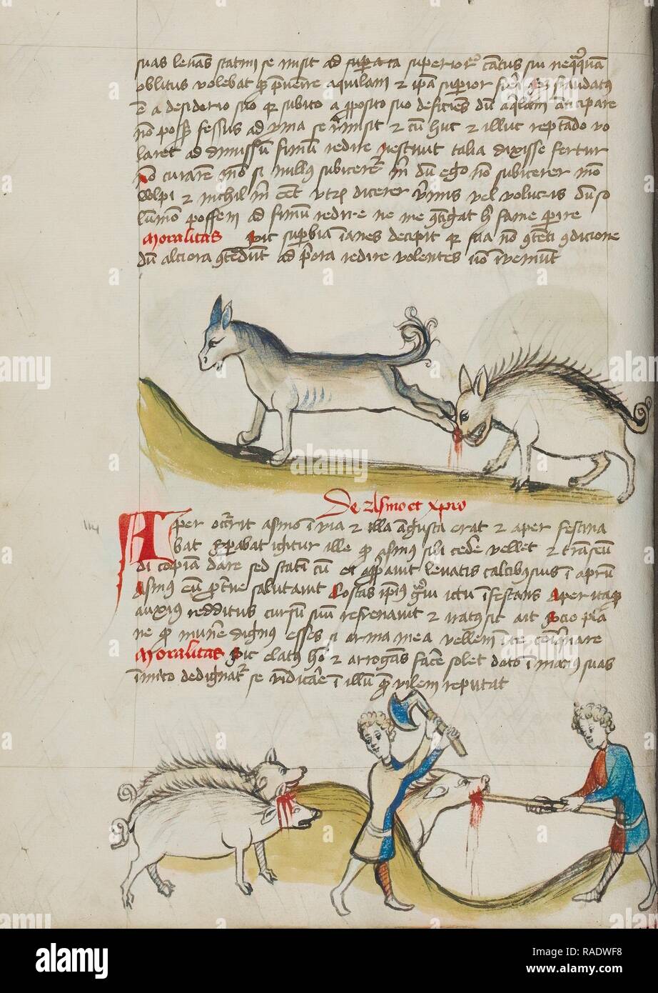 A Donkey Kicking a Wild Boar, A Pig Being Slaughtered, Trier (probably), Germany, third quarter of 15th century, Pen reimagined Stock Photo