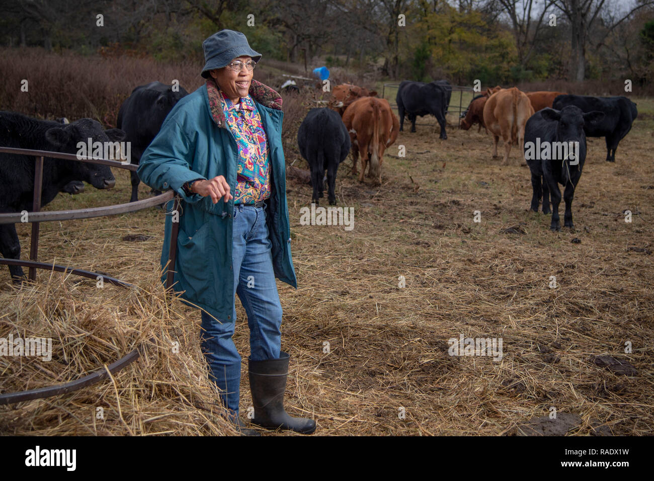 Pat Crenshaw, 79, a black Native American, who owns and operates 120 acres of farmland in Slick, Oklahoma. Her father purchased the land through Farmers Home Administration in 1945, a time when it was uncommon for minorities to receive loans through the government. Having lived on the land since 1945 with her parents, she began maintaining the 120-acre ranch by herself since her father passed away in 2001. Stock Photo