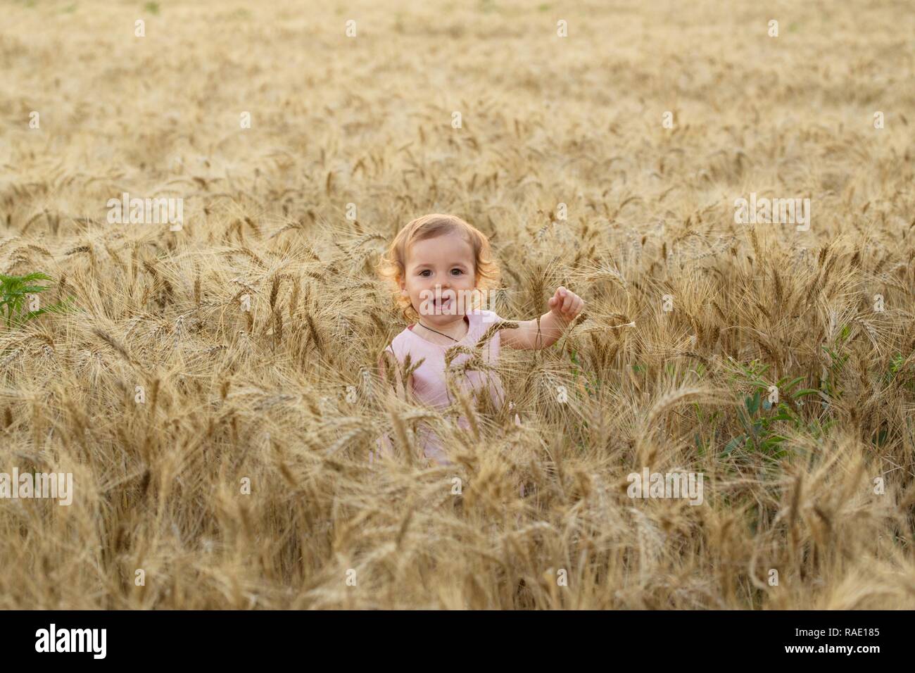 smiling little girl in a wheat field Stock Photo - Alamy