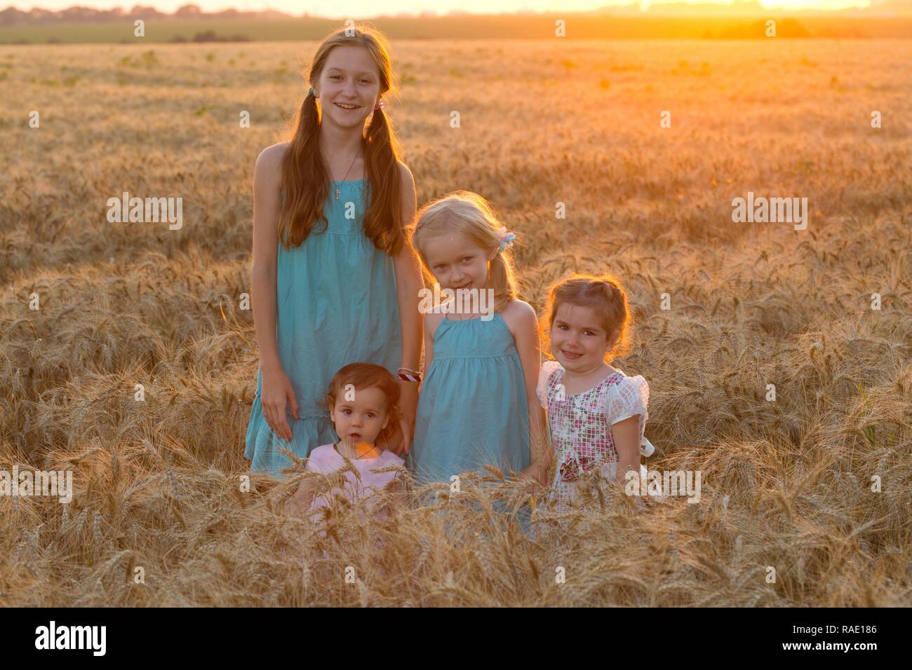 four smiling little girls in a wheat field Stock Photo - Alamy