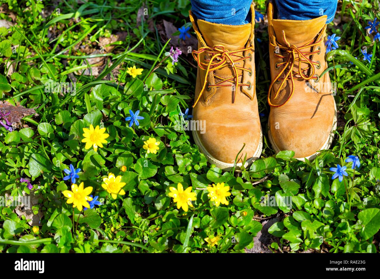 boots on a background of a blossoming meadow Stock Photo