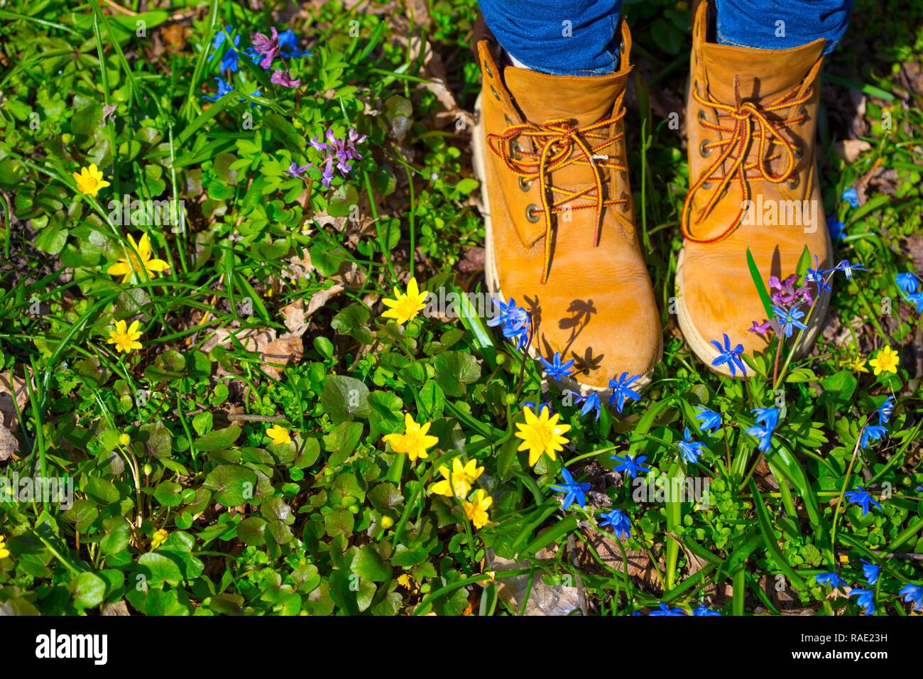 boots on a background of a blossoming meadow Stock Photo