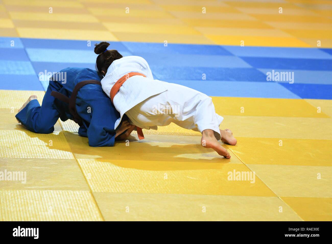 kimono competição jiu jitsu