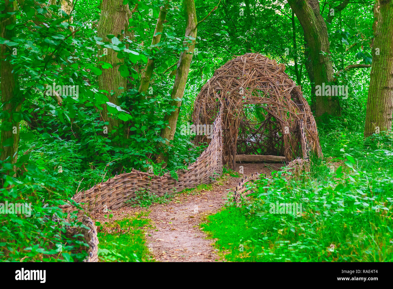 Primitive Bushcraft Shelter In The Forest With A Campfire Inside Stock  Photo - Download Image Now - iStock