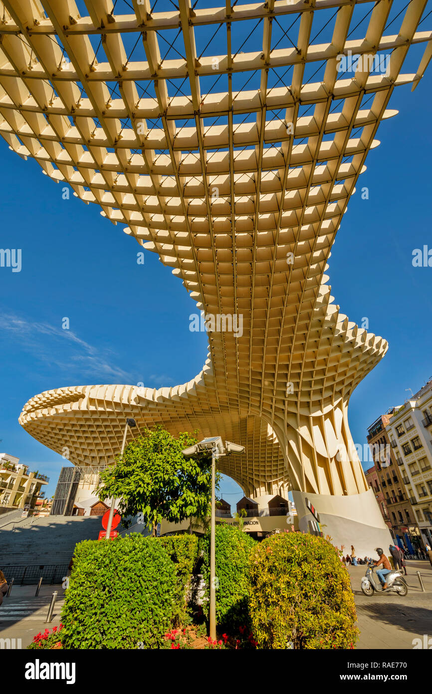 METROPOL PARASOL ENCARNACION SQUARE SEVILLE SPAIN EARLY MORNING THE ROOF STRUCTURE AND A SMALL GARDEN Stock Photo