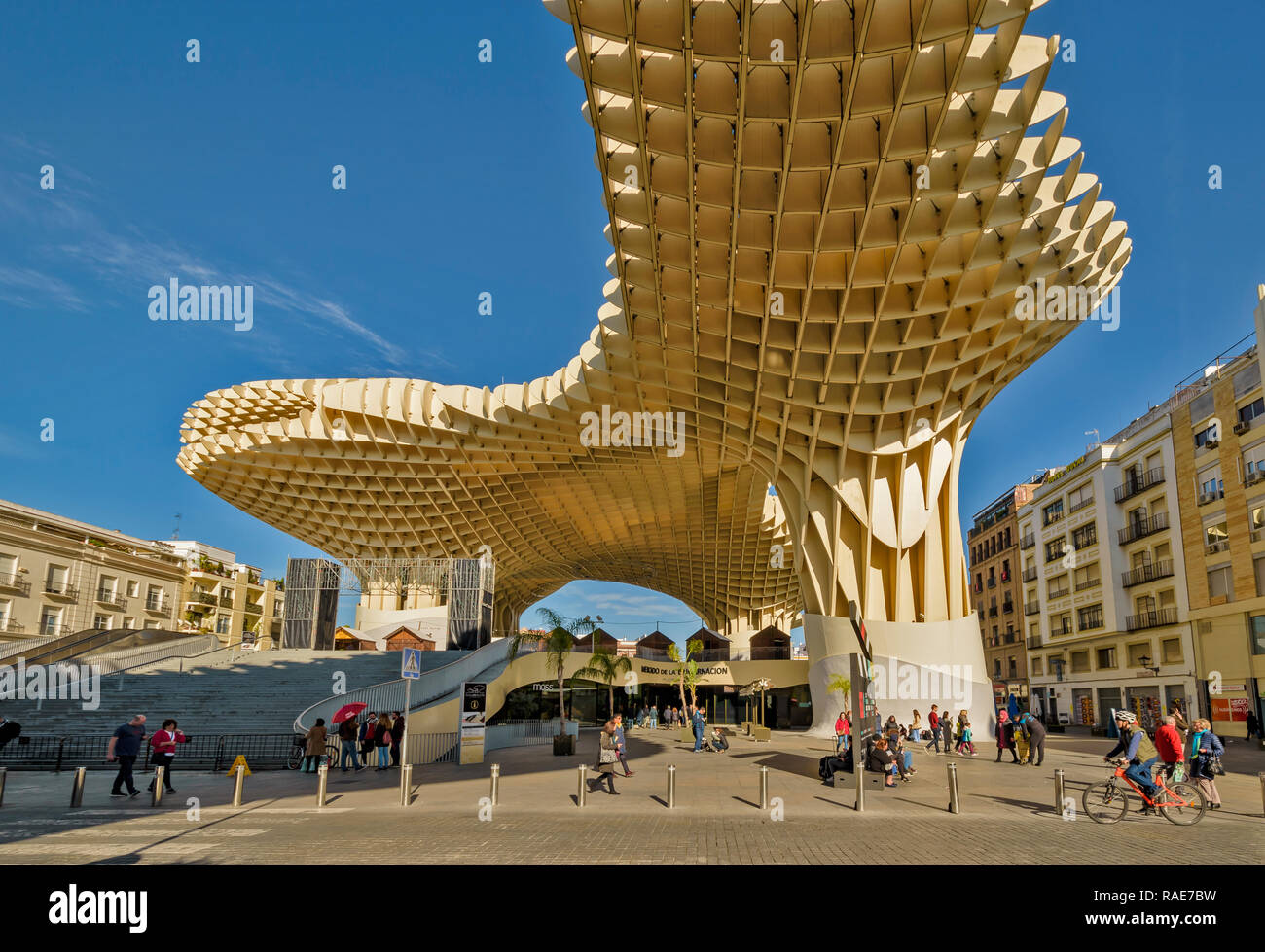 METROPOL PARASOL ENCARNACION SQUARE  SEVILLE SPAIN EARLY MORNING THE ROOF STRUCTURE AND SURROUNDING HOUSES Stock Photo