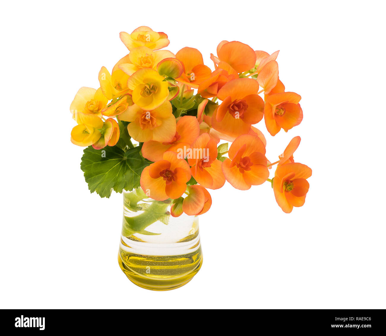 Colourful flowers in vase isolated over white Stock Photo