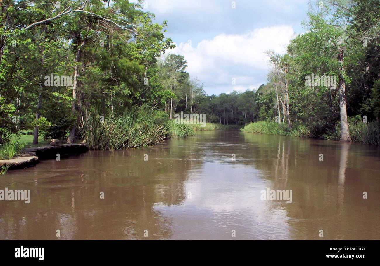 On the Bayou Stock Photo - Alamy