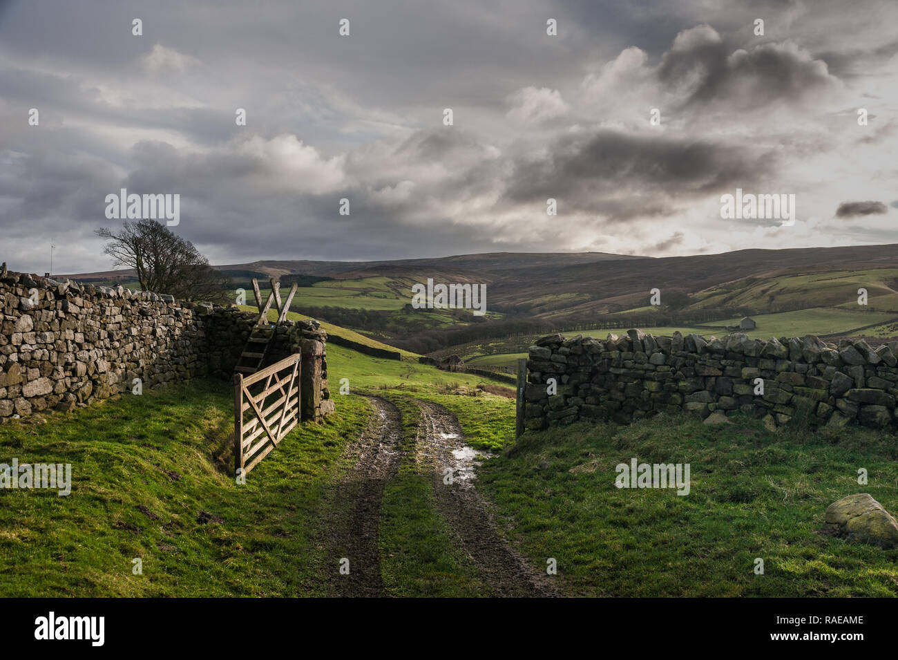 Looking towards Ward's Stone from The Cragg in Littledale Bowland Stock Photo
