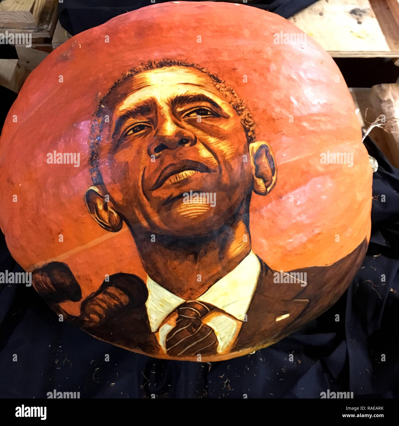 NEW YORK, USA: Barrack Obama. THESE SPOOKTACULAR pumpkin carvings featuring intricate designs that took up to SIXTEEN-HOURS to perfect are sure to get Stock Photo