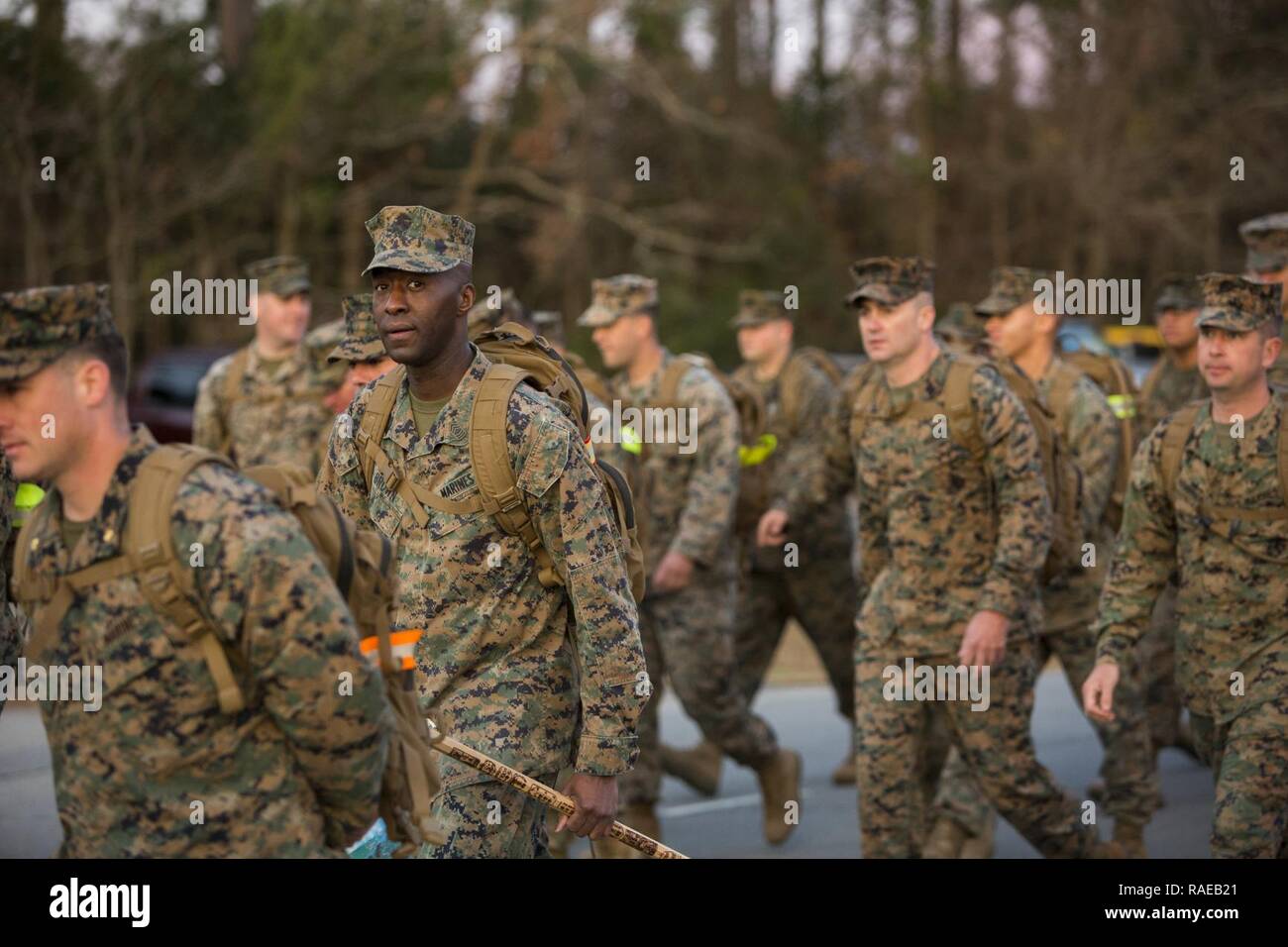 U.S. Marine Corps Master Sgt. Kevin E. Brown, center, equal opportunity advisor, II Marine Expeditionary Force, participates in the 2nd Marine Division (2d MARDIV) 50-mile challenge hike on Camp Lejeune, N.C., Feb. 1, 2017. The hike was held to challenge Marines of 2d MARDIV as well as test their skill and will. Stock Photo