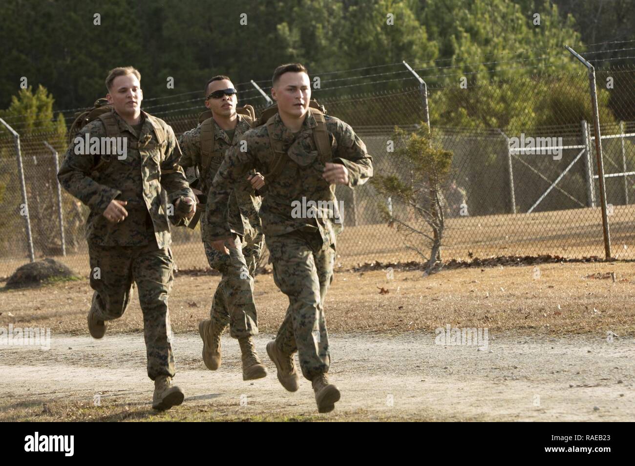 U.S. Marines with 2nd Marine Division (2d MARDIV), run during the 2d MARDIV 50-mile challenge hike on Camp Lejeune, N.C., Feb. 1, 2017. The hike was held to challenge Marines of 2d MARDIV as well as test their skill and will. Stock Photo