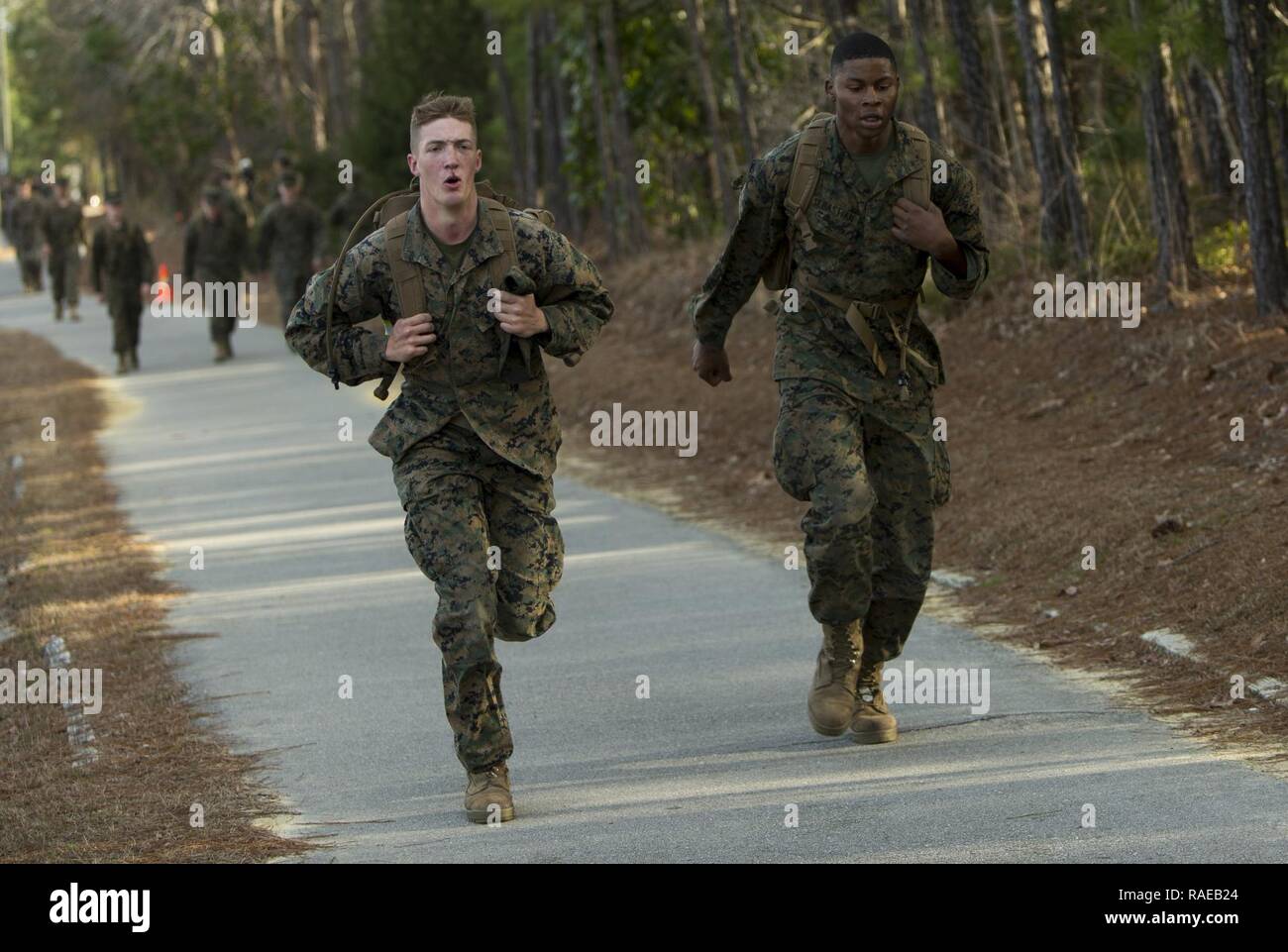 U.S. Marines with 2nd Marine Division (2d MARDIV), run during the 2d MARDIV 50-mile challenge hike on Camp Lejeune, N.C., Feb. 1, 2017. The hike was held to challenge Marines of 2d MARDIV as well as test their skill and will. Stock Photo