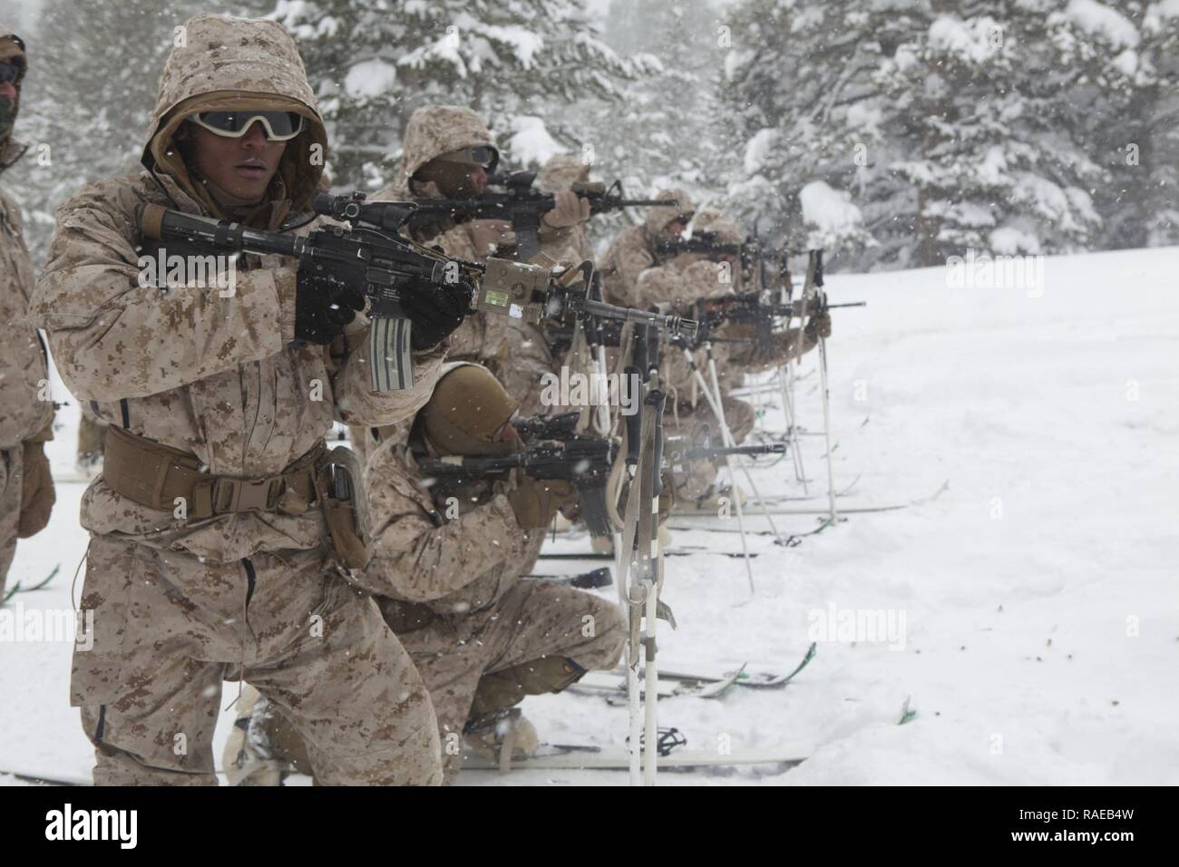 U.S. Marines with 2nd Battalion, 2nd Marine Regiment (2/2), conduct a live fire range exercise during a month-long Deployment for Training (DFT), at the Marine Corps Mountain Warfare Training Center (MCMWTC), Bridgeport, CA., Jan. 22, 2017. The Marines of 2/2 participated in a month-long DFT at MCMWTC to prepare them for the challenges of operating in cold and mountainous environments. Stock Photo
