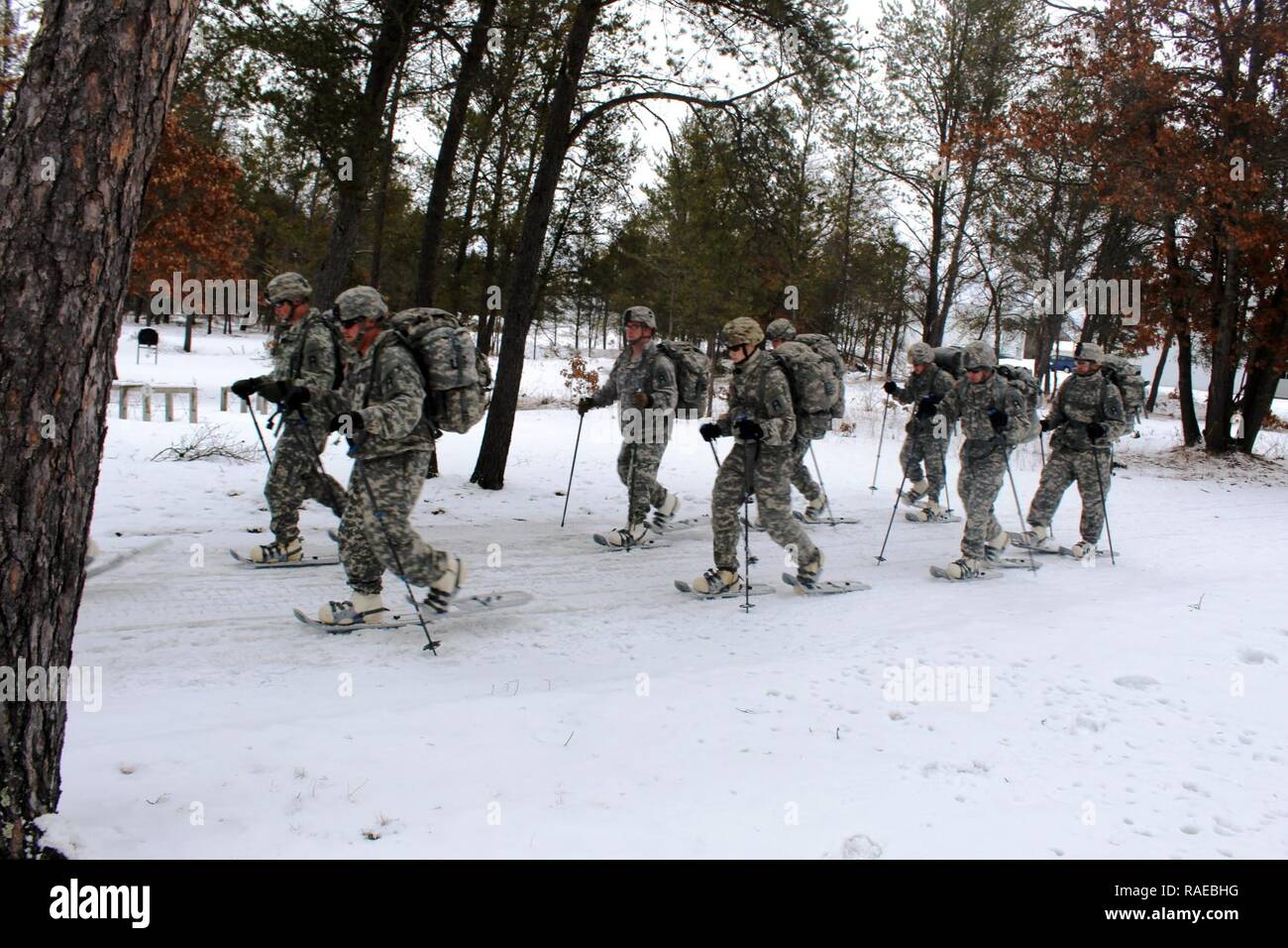 Soldiers with the 181st Multi-Functional Training Brigade participate in a snowshoe skills training session Jan. 26, 2017, at Training Area D-10 as part of the Cold-Weather Operations Course at Fort McCoy, Wis. The Cold-Weather Operations Course is the first of its kind coordinated by the Directorate of Plans, Mobilization, Training and Security, or DPTMS. It included participation by 11 Soldiers with the 181st and is taught by two instructors contracted to support DPTMS. Stock Photo