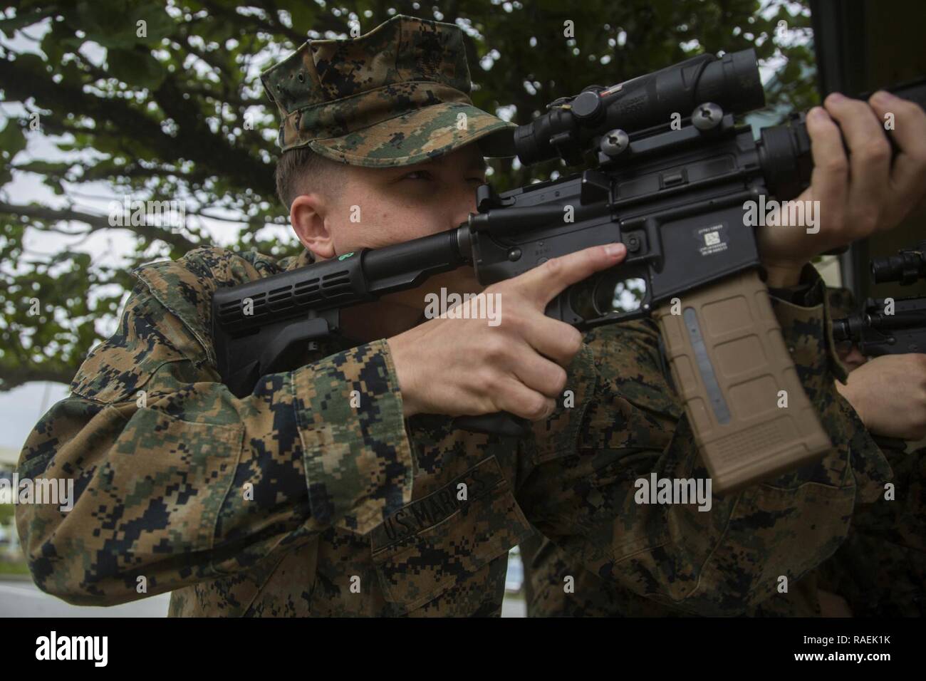 U.S. Marine Corps Sgt. Trystan Jordan, sights in while preparing to perform a corrective action during the Basic Skills Test, on Camp Courtney, Okinawa, Japan, Dec. 13, 2018. Jordan, a native of Asheboro, North Carolina, is a combat videographer with Headquarters Company, Headquarters Battalion, 3rd Marine Division. Stock Photo