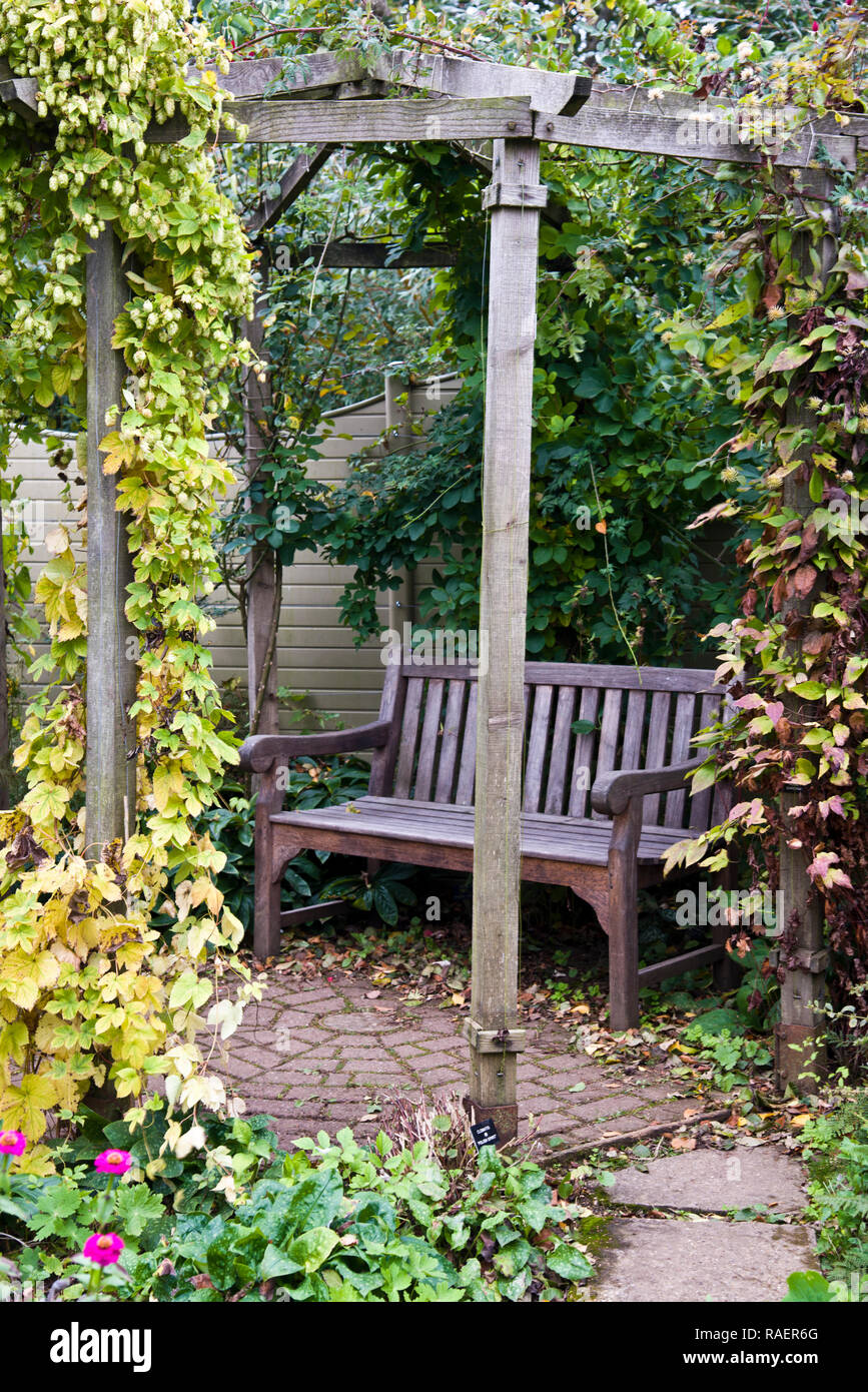 Golden hop seat hires stock photography and images Alamy